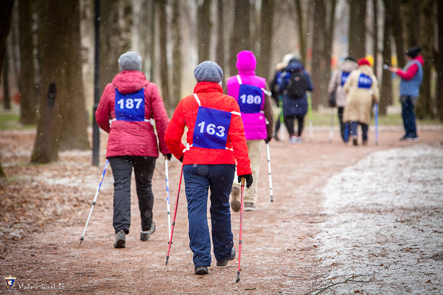 spb gbu sok izhorec skandinavskaya hodba